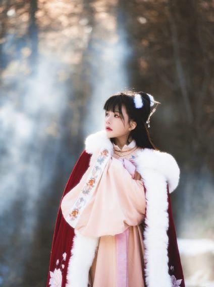 美女视频免费