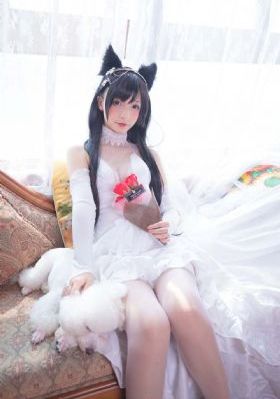丁香花高清视频完整电影